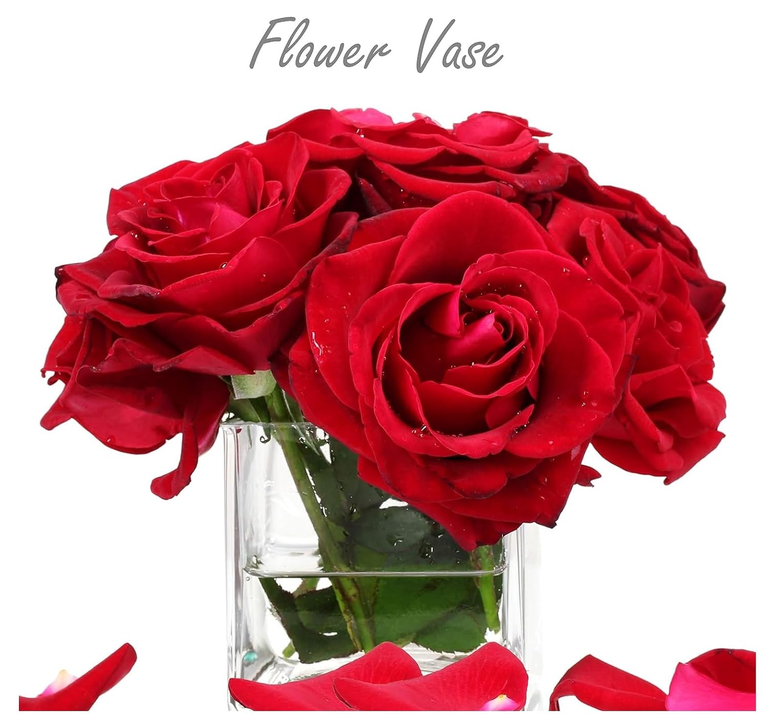 SPHINX Square Decorative Glass Vase for Flowers Live Plants Bamboo Money Plants Home Decor Office Living Room Table Decorations, Vases for Home Decor,Modern Glass Vase, Gift, VASE ONLY NO Flowers - - Image 6